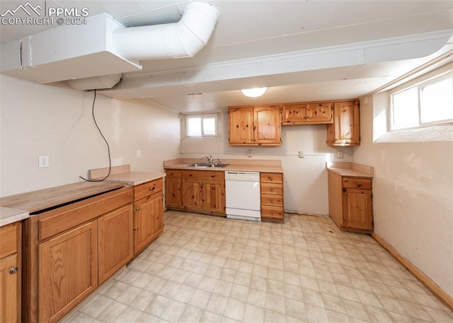 kitchen with dishwasher and sink