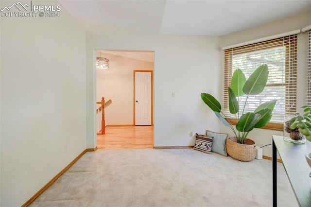 living area featuring carpet floors