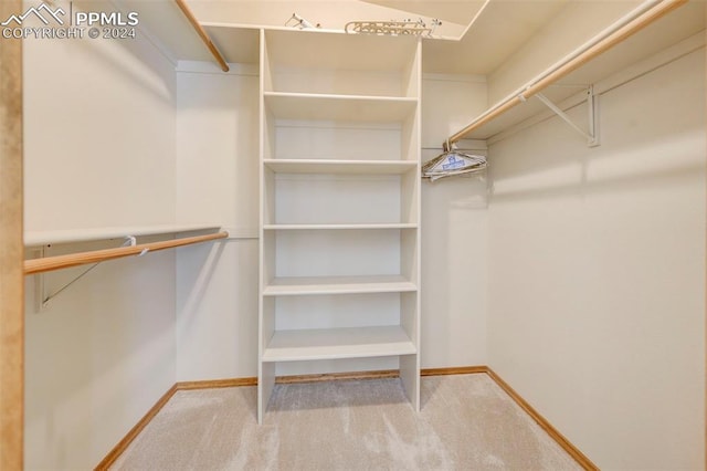 spacious closet with light colored carpet