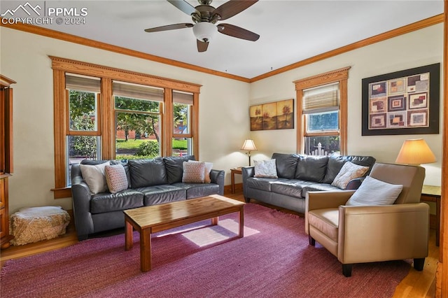 living room with crown molding, hardwood / wood-style floors, and ceiling fan