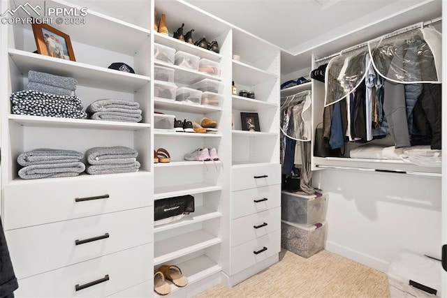 spacious closet with light colored carpet