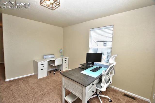 office space featuring light colored carpet