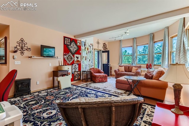 living room with a wood stove and rail lighting