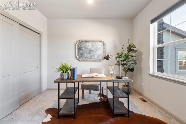 carpeted office space featuring plenty of natural light