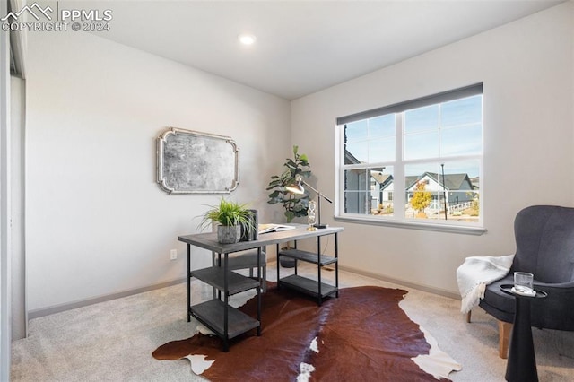 view of carpeted home office