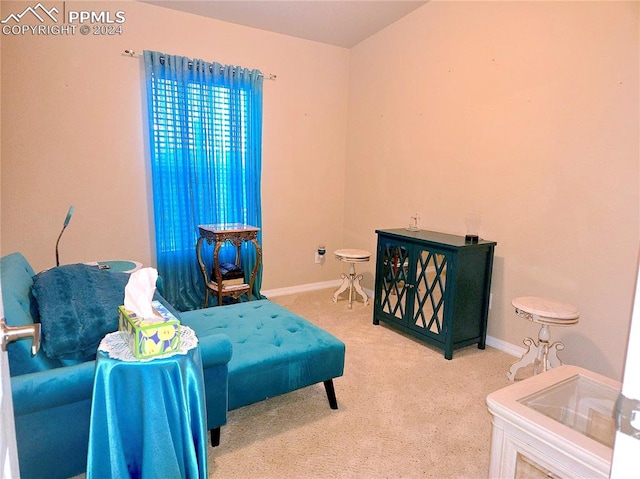 sitting room featuring carpet flooring