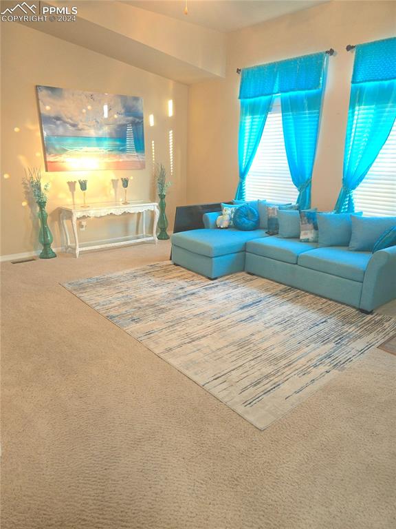 living room featuring carpet