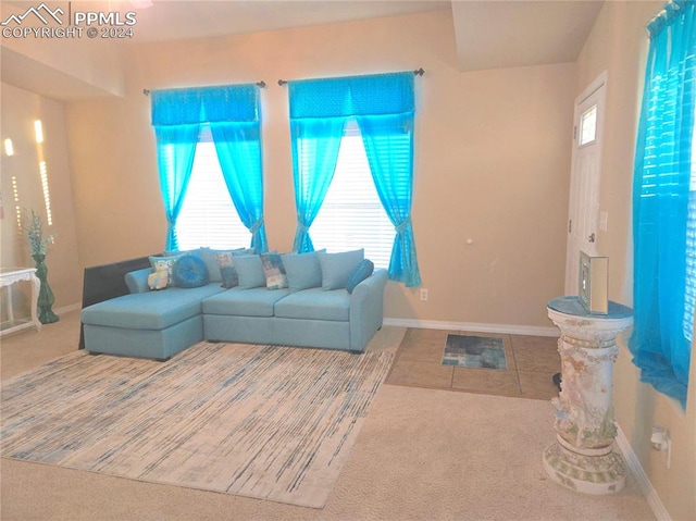 living room with carpet floors