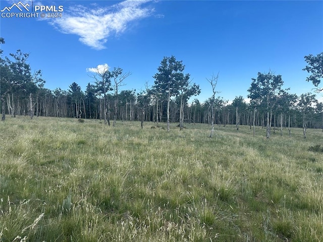 County Road 863, Victor CO, 80860 land for sale