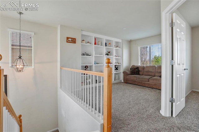 interior space with carpet floors