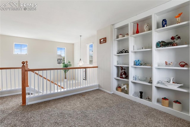 unfurnished room featuring carpet floors