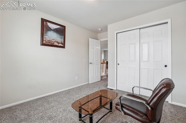 living area featuring carpet floors