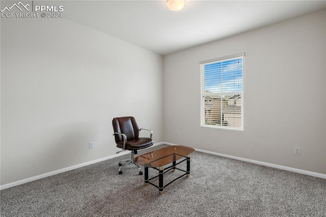 view of carpeted office space