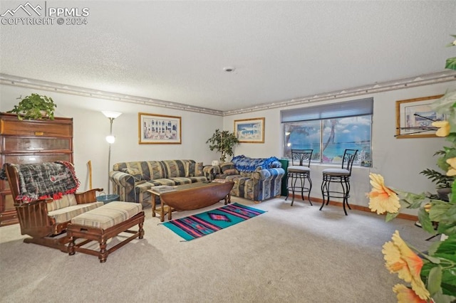 living room with carpet floors and a textured ceiling