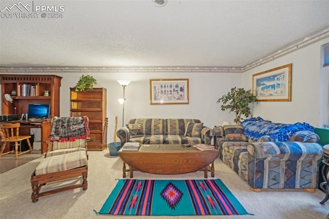 carpeted living room featuring a textured ceiling