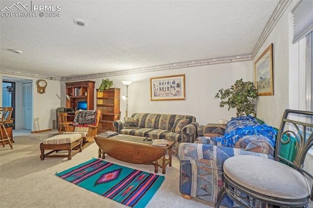 carpeted living room featuring a textured ceiling