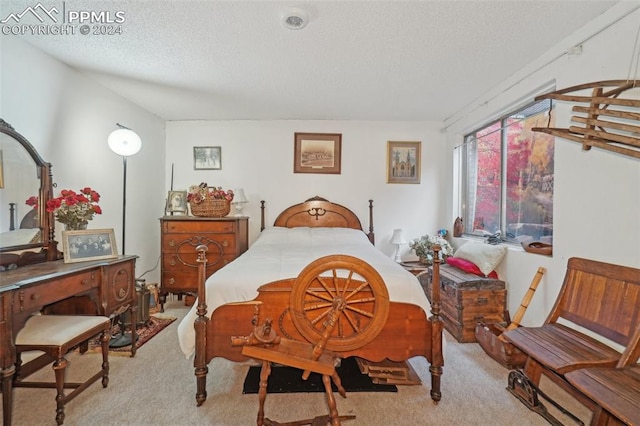 carpeted bedroom with a textured ceiling