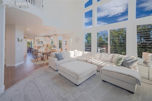 living room featuring a towering ceiling and hardwood / wood-style floors