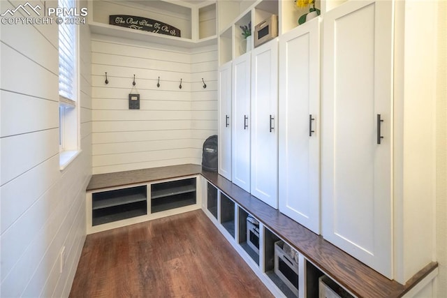 mudroom with dark wood-type flooring