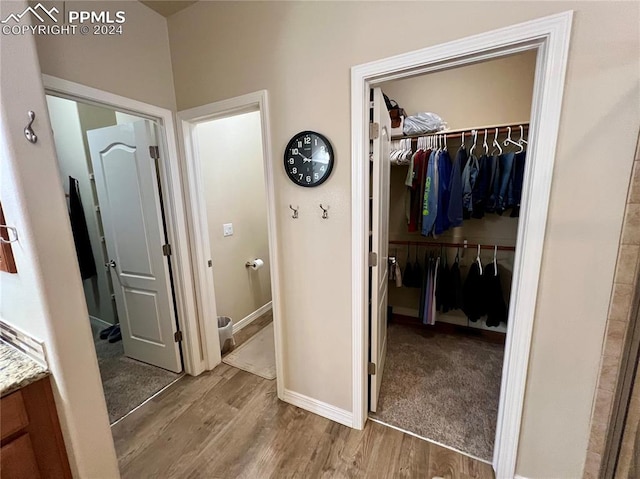 bathroom with wood-type flooring