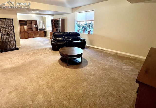 living area featuring carpet floors