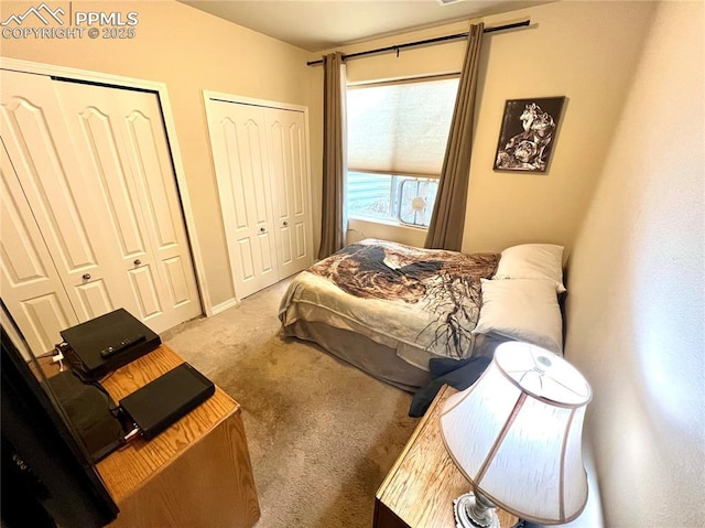 carpeted bedroom with multiple closets