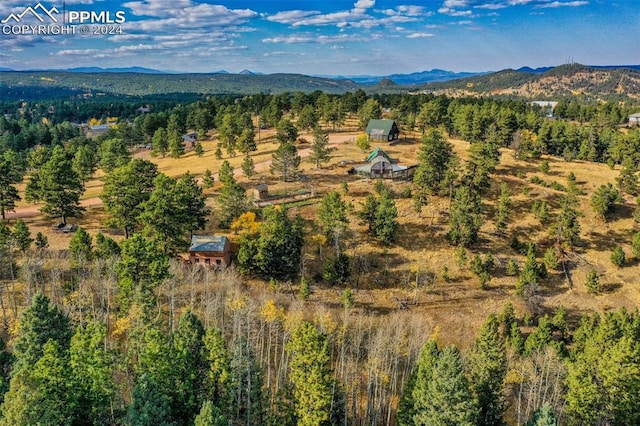 drone / aerial view featuring a mountain view