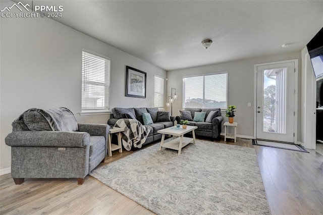 living room with light wood-type flooring