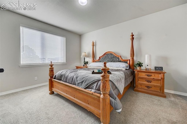 bedroom with light colored carpet