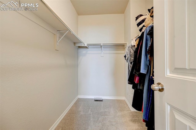 spacious closet with carpet flooring