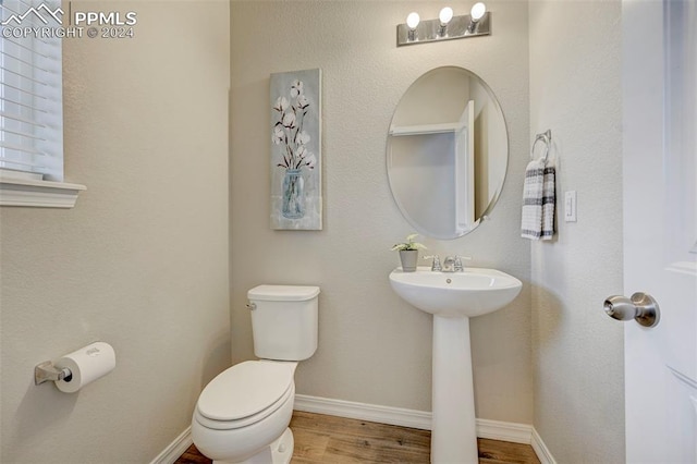 bathroom featuring sink, hardwood / wood-style flooring, and toilet