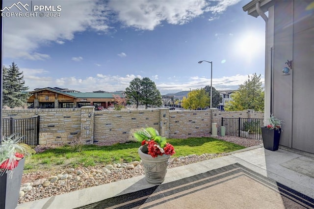 view of yard with a patio