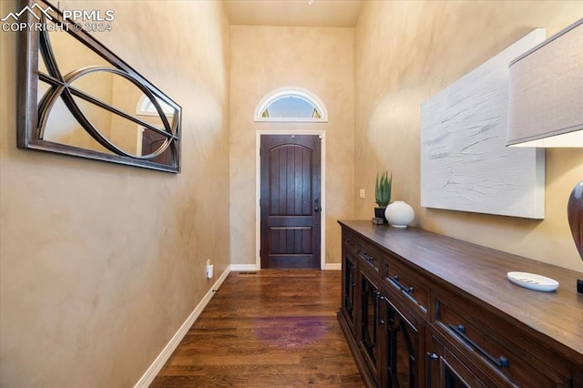 foyer entrance featuring dark wood-type flooring and a towering ceiling