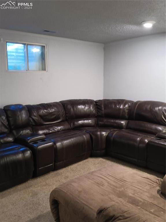 carpeted living room with a textured ceiling