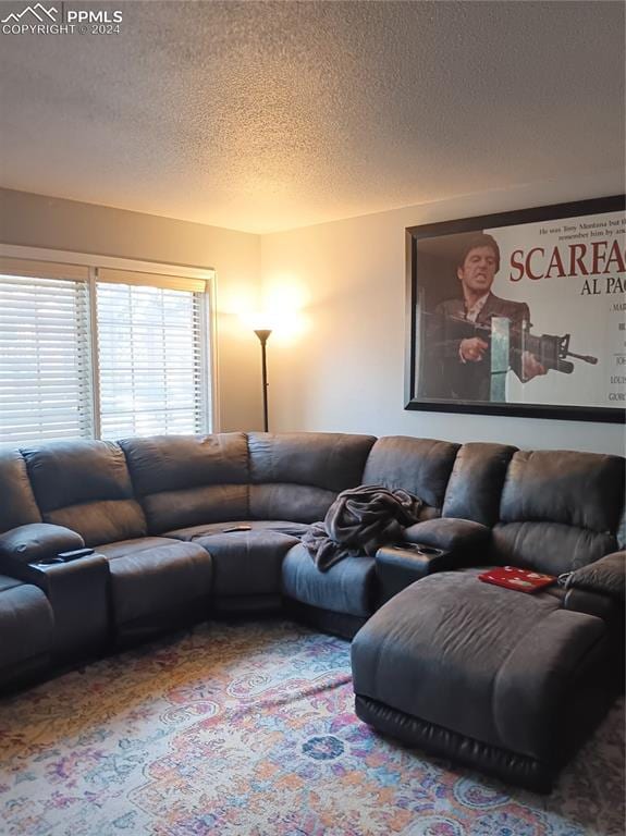 living room with a textured ceiling