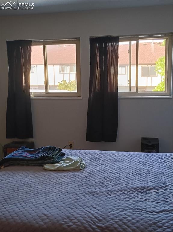 bedroom with multiple windows