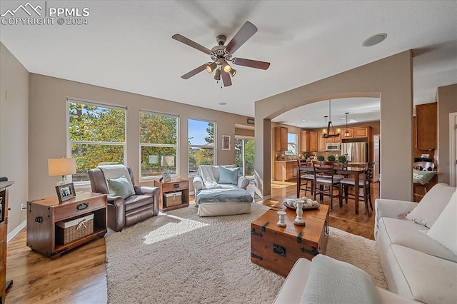 living room featuring ceiling fan, light hardwood / wood-style flooring, and a healthy amount of sunlight