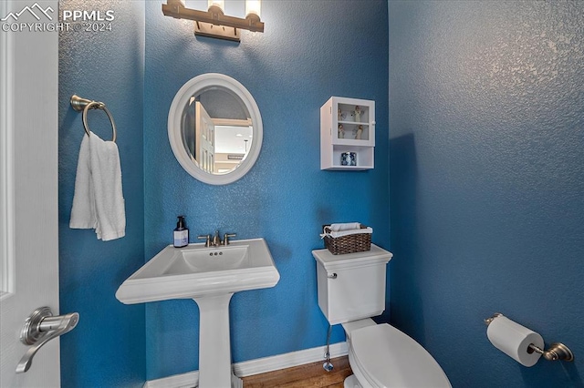 bathroom with wood-type flooring and toilet