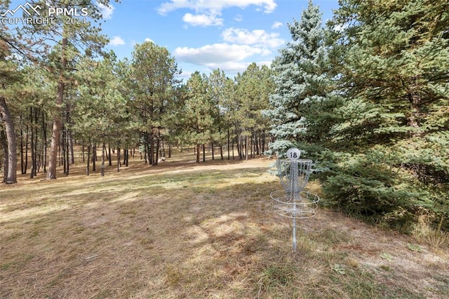 10760 Hardy Rd, Colorado Springs, CO 80908 - view of yard