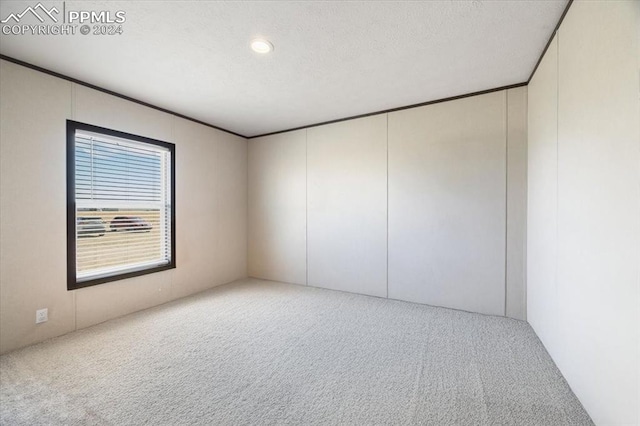 6652 Middlefield Ct, Colorado Springs, CO 80928 - spare room featuring carpet, a textured ceiling, and a decorative wall