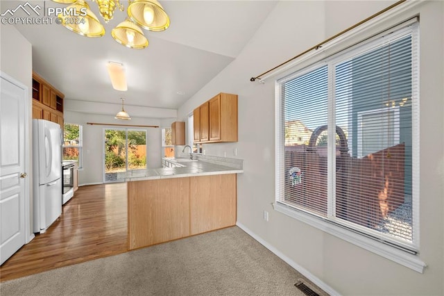 kitchen featuring sink, kitchen peninsula, hanging light fixtures, hardwood / wood-style floors, and white fridge