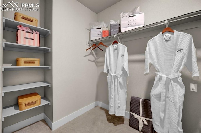 walk in closet featuring carpet flooring