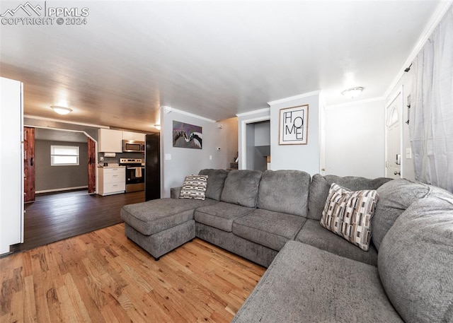 living room featuring hardwood / wood-style floors