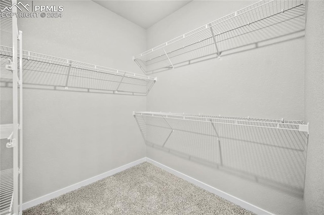 walk in closet with carpet floors