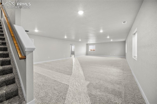 basement featuring carpet floors