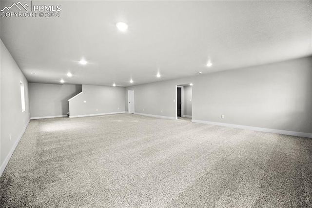 basement featuring carpet floors