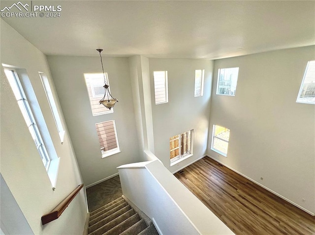 staircase with hardwood / wood-style flooring and plenty of natural light