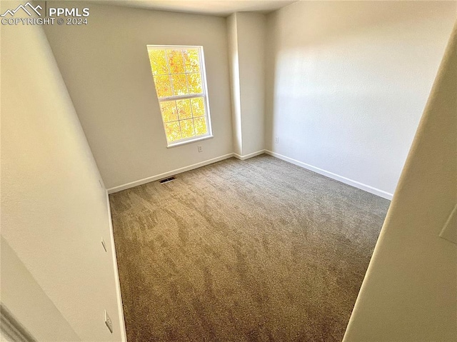 spare room with carpet floors