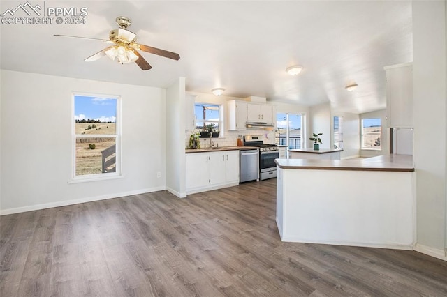kitchen featuring wood finished floors, ceiling fan, white cabinetry, under cabinet range hood, and stainless steel appliances