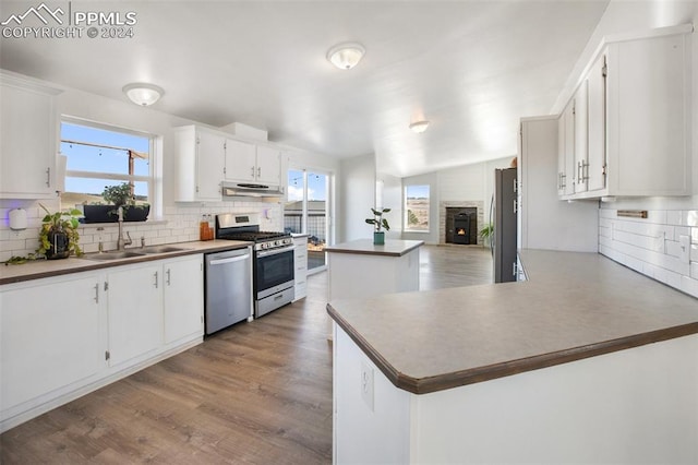 kitchen with a healthy amount of sunlight, backsplash, a sink, under cabinet range hood, and stainless steel appliances
